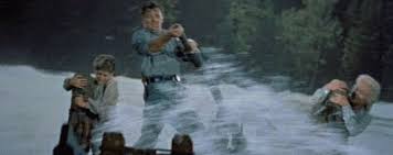 The best gifs are on giphy. Raft Gif Find On Gifer