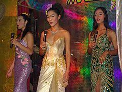 Bisexuales y pansexuales tienen un. Sexual Orientation Wikipedia
