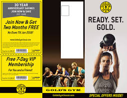 gold s gym brochure power up creations