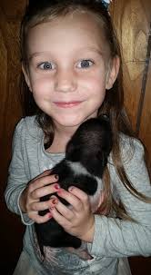 And This Little Piggy 🐷 Went To The Frying Pan 😎