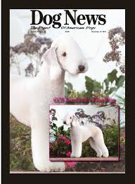 We did not find results for: Dog News November 19 2010 By Dog News Issuu