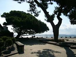 Cap Ferret Aquitaine Bordelais Landes Cap Ferret Vacances Arcachon Tourisme En France