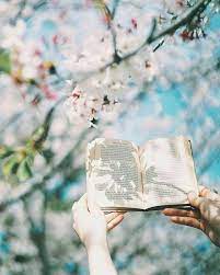 exams dpz おしゃれまとめの人気アイデア pinterest rabyya masood 樱花 ヨルシカ 芸術写真