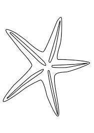 Malvorlage Seestern Ausmalbild 27185 Seestern Ausmalen Muscheln Zeichnen