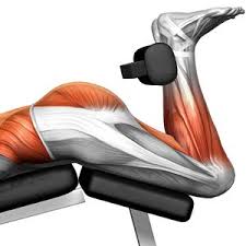 Strengthen the hamstrings and increase flexibility with hamstring curls. Use This Move Properly To Strengthen The Oft Neglected Hamstrings And Help You Avoid Debilitating Injuries