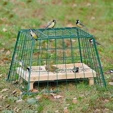 Schutzkafig Maxi Vogel Im Garten Raubvogel Vogelfutter