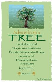 Advice From A Tree 7 Line Poem Frameable Art Postcard Tree Quotes Nature Quotes Advice Quotes