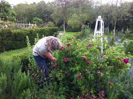 Maybe you would like to learn more about one of these? Blog Archives The Mill House Pendoggett