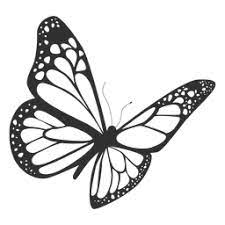 Sign up for free today! Pencil Simple Flying Butterfly Drawing Novocom Top