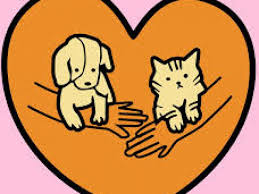 We did not find results for: Snap Inc Maryland Pet Guide