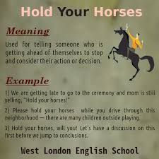 English Language Idioms West London English School English Language Learning Grammar English Language Idioms Idioms And Proverbs