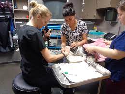 We have been providing the community of edmond, oklahoma with excellent pet care in a professional, friendly, and compassionate manner for over 25 years. Welcome To Gruda Veterinary Hospital Located In Santa Fe New Mexico