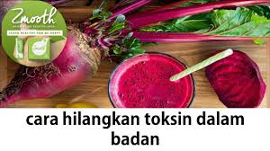 Penyebab dari bau badan yang bercampur dengan keringat adalah bakteri. Cara Hilangkan Toksin Dalam Badan Youtube