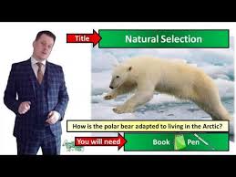 Set the background to any color, and see natural selection taking place. Natural Selection Worksheet Answer Key Jobs Ecityworks