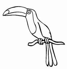 Rainforest Animal Coloring Pages Color On Pages Coloring Pages Rainforest Animals Animal Coloring Pages Bird Coloring Pages