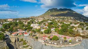 Image result for Staudtia