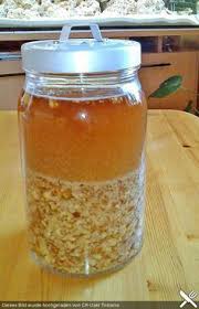 Haselnusslikor Aus Frischen Haselnussen Von Aladin013 Chefkoch Rezepte Haselnuss Likor Schnaps Rezepte