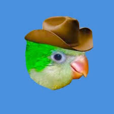 Key (auto detect) auto scroll. Duo On Twitter Beg For Your Life In Spanish