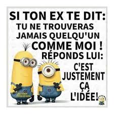 Epingle Par Elsa Dubois Sur Humour Minion Humour Blague Blague Minion