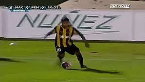 Hombre que invirtió 20 dólares en la criptomoneda rocket bunny amaneció millonario. Gameover Uruguay