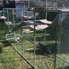 Help your cats to stimulate their minds by exercising in this outdoor cat enclosure. Cat Enclosure 6 Steps With Pictures Instructables