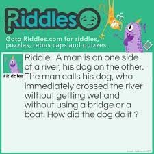 The dog crosses the river without getting wet, and without using a. River And A Dog Riddles Com