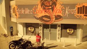 The Karate Kid Saga Continues In First Cobra Kai Teaser Lrm