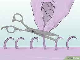 Learn how to trim and shave pubic hair, using the right techniques and tools. How To Shave Your Pubic Hair 13 Steps With Pictures Wikihow