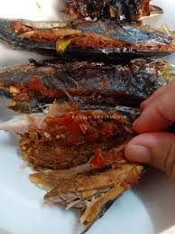 Cara masak ikan cencaru tumis asam yang sangat mudah dan sedap. Ikan Cencaru Sumbat Tomyam Menu Sesuai Bagi Yang Tengah Berdiet Mingguan Wanita