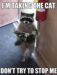 30 Random Funny Animal Memes Animal Funny Memes Random Funny Animal Memes Funny Animals Animal Memes