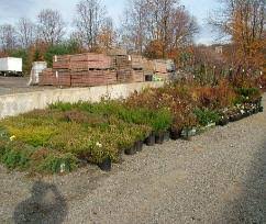 Good morning, we have a wonderful crop of strawberries this year on our chester, nj1 contribution. Randolph Garden Center Home Facebook