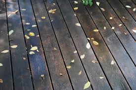 Hardwood flooring offers both durability and style. Wallpaper Sunlight Leaves Rain Green Morning Light Color Autumn Leaf Floor Roof Line Hardwood Wood Flooring Floors 1700x1130 Wallpaperup 608955 Hd Wallpapers Wallhere