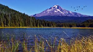 Mountain Lake Ambience Relaxing Nature Sounds Birds Singing And Lapping Water With Soothing Wind Youtube