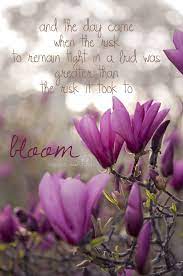 Spring Quotes Motivational Quotes Anais Nin Kaitlinsheranphotography Com Copyright Kaitlinsheran Photography Llc Springtime Quotes Blossom Quotes Spring Quotes