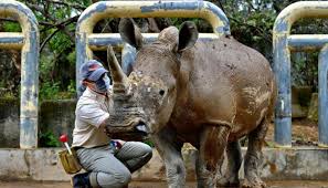 , بحث حول الترث الجزائري باللغة الفرنسية , موضوع عن التراث الجزائري بالفرنسية. Ù„Ù„Ø¨Ø­Ø« Ø¹Ù† Ø§Ù„ØªØ²Ø§ÙˆØ¬ Ø£Ù†Ø«Ù‰ ÙˆØ­ÙŠØ¯ Ù‚Ø±Ù† ØªØ³Ø§ÙØ± Ù…Ù† ØªØ§ÙŠÙˆØ§Ù† Ø¥Ù„Ù‰ Ø§Ù„ÙŠØ§Ø¨Ø§Ù†