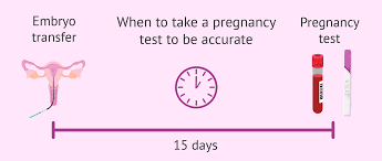 Fertility support & resources to guide you on your fertility journey. When To Test For Pregnancy After Ivf Embryo Transfer