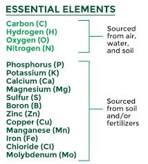 Know Your Nutrients 16 Essential Elements Omex Agriculture Inc