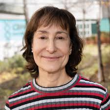 Virus-Cell interaction. The ASFV model