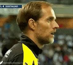 Find the perfect thomas tuchel stock photos and editorial news pictures from getty images. Latest Thomas Tuchel Gifs Gfycat