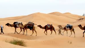 The turmoil of the arab spring began in tunisia in 2010, and the country is today an island of stability in a chaotic region. Vakantie Tunesie De Mooiste Tunesie Reizen Anwb