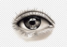 Contact lenses) and reconstructive surgical procedures will not result in functional or cosmetic improvement. Scleral Tattooing Png Images Pngwing