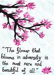 Best flower blossom quotes selected by thousands of our users! The Flower Quotes Disney Mulan Quotes Inspirational Quotes