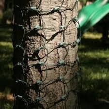 Light For Tree Trunks White On Brown Wire 6x2 Feet Net Lights Christmas Tree Lighting Light Up Tree