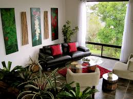 Eight Common Indoor Plant Myths Living Room Plants Living Room Plants Decor Simple Living Room Decor