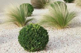 Philippe ferret vous fait part de son expérience : Amenager Un Jardin Mineral Et Zen