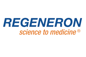 Jul 30, 2021 · when regeneron's president and chief scientific officer george d. Regeneron S Bispecific For Lymphoma Works In Car T Failures Pmlive