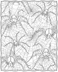 Most homeowners cannot easily decode the type of. Get This Adult Halloween Coloring Pages Spider Web 6spw
