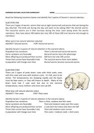 Darwin S Natural Selection Worksheet Answers Natural Selection Worksheets Darwin