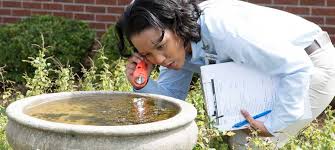 From the owners of cook's pest control. Cook S Pest Control Pest Mosquito And Termite Control