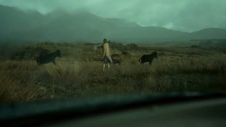 The Lobster: A Nuanced Breakdown | by Mitali Mandal | Medium